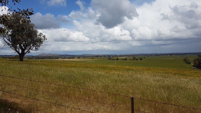 hectares of existing private land in Glenrowan will be used for the farm. The project will hook up to the electricity grid via the Winton power station.