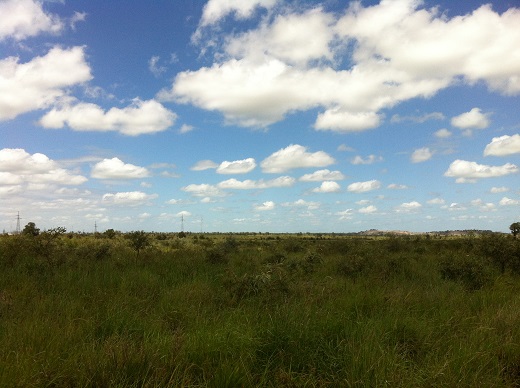 photovoltaic modules with single-axis tracking systems will be used and 25 transformer centres constructed.