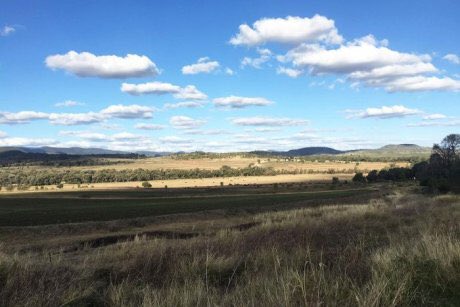 hectares of land will be used for the wind farm.  The site will be located on 12 farming properties near Cooranga North between Dalby and Kingaroy on land which is predominately used for cattle grazing and other farming activities.