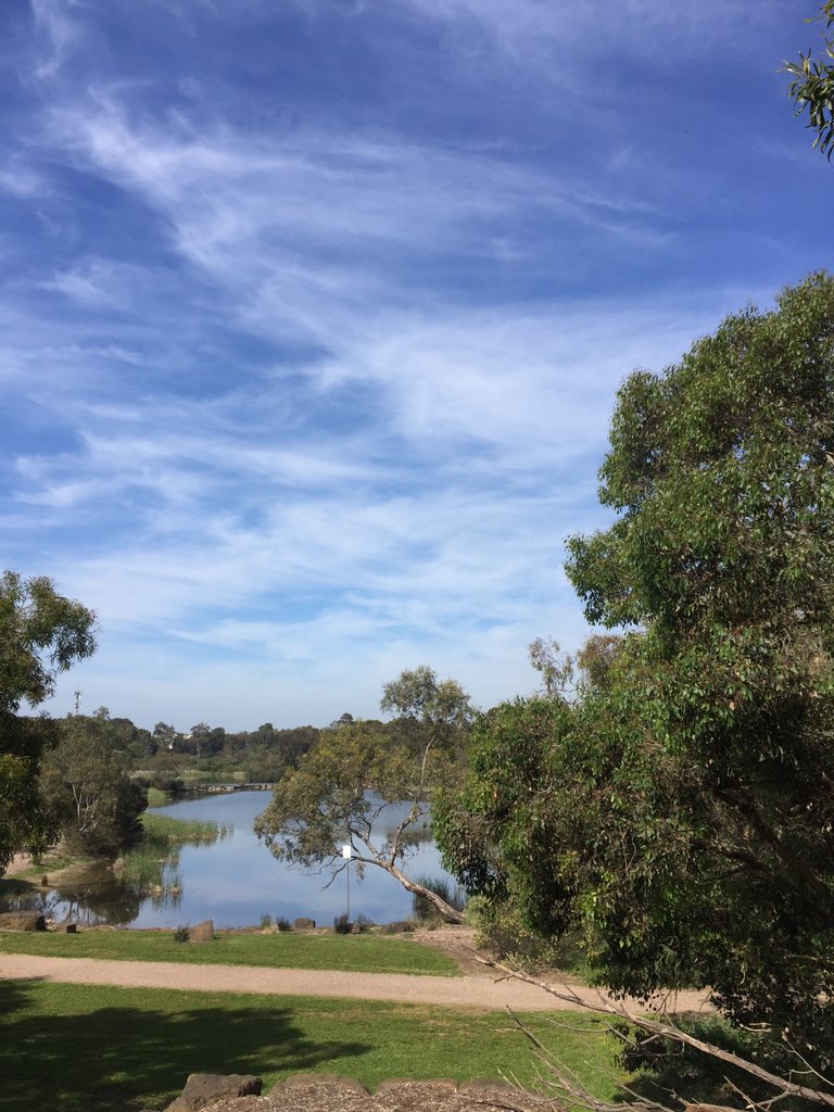 species of plants and 85 species of birds have been recorded at the park as a result of extensive revegetation.