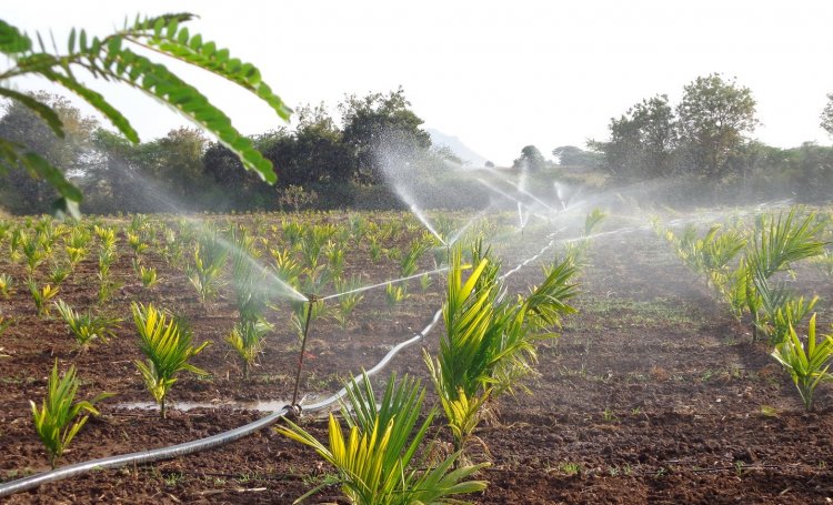 India: Area brought under micro (drip and sprinkler) irrigation, by State [2016-17]