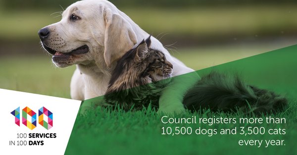 feline (3,500) and canine (10,500) best friends registered by the council every year.