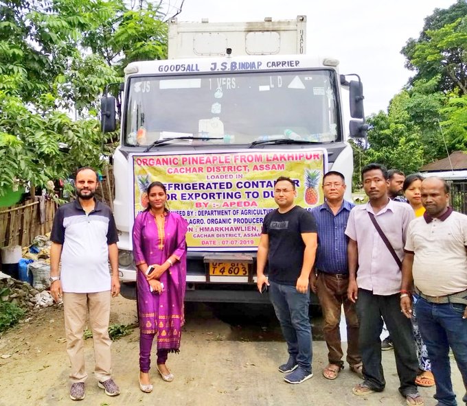 Number of pineapples bound for Dubai from Cochar on 07 Jul 2019. DC Cachar, DAO Cachar, AGM APEDA, AAU expert, Mr Arvind - Exporter , Hmar Farmers Produces Company, Sheel Biotechs & Agriculture Department, united in one platform to make this possible.