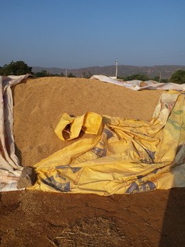 Output of rice from the several rice processing mills in the region. Besides Raichur city,  rice mills are situated in Manvi, Sindhanur, Karatagi, Gangavathi, Sirguppa and other urban centres.