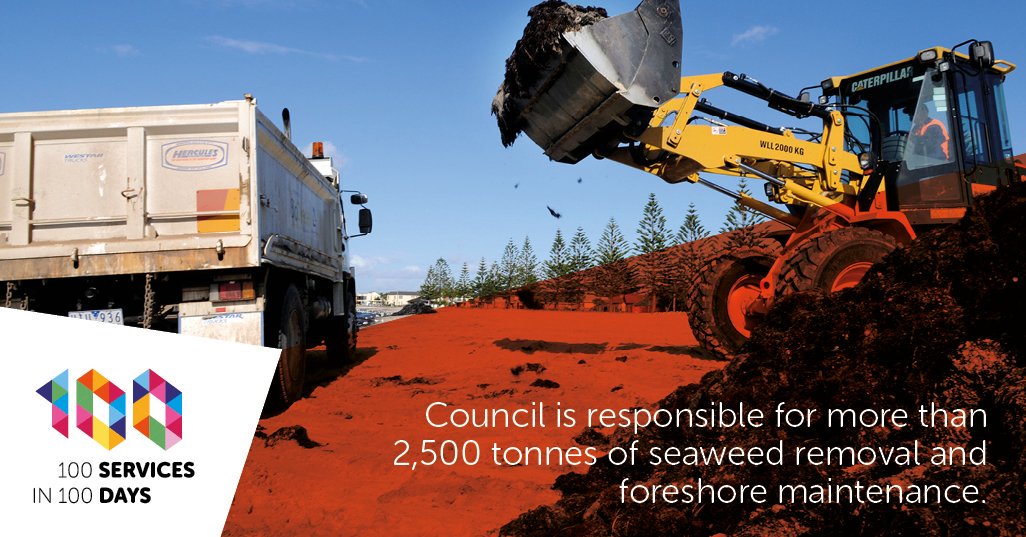 of seaweed removed by the council every year as part of maintaining the foreshore.