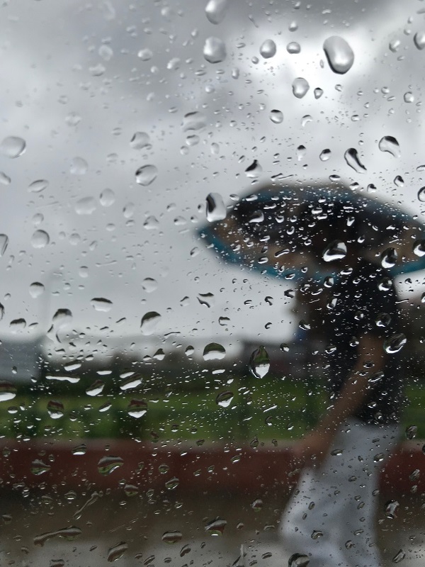 Rainfall recorded in Mumbai between 08 Aug 17:00 hrs to 09 Aug 17:00 hrs