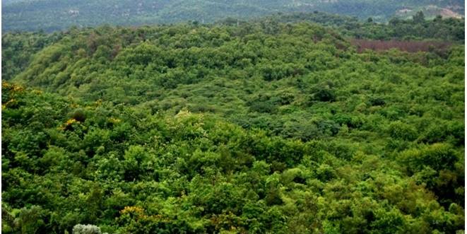 coal producing subsidiaries spread over eight states in India participated.