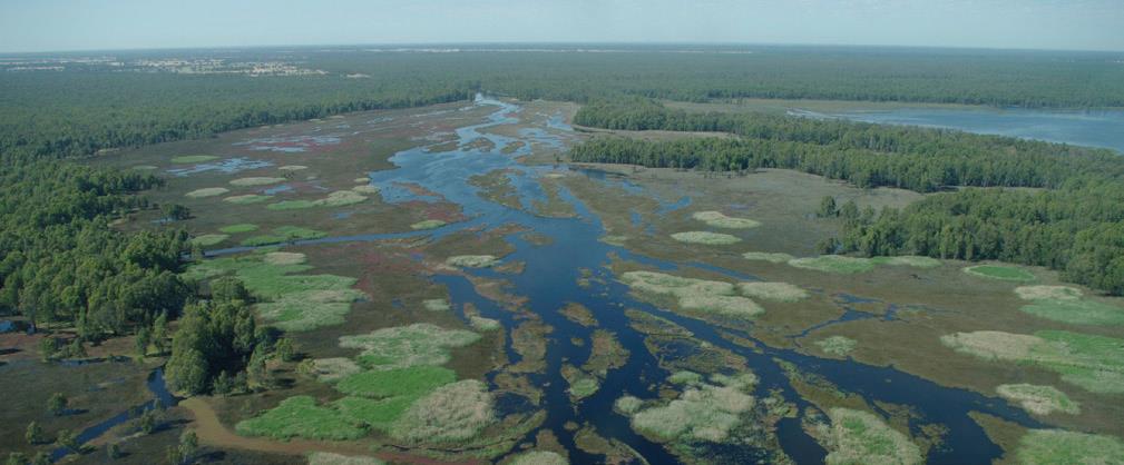 and more of water supply catchments are located within Victoria’s parks. These catchments capture water and release it cleaner to infrastructure for drinking, food production and other industries.