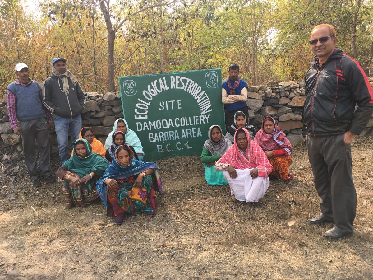 of land at the Damoda Colliery in Bokaro District has been ecologically restored under the guidance of FRI, Dehradun.