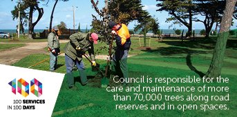 The number of trees that the council cares for and maintains!