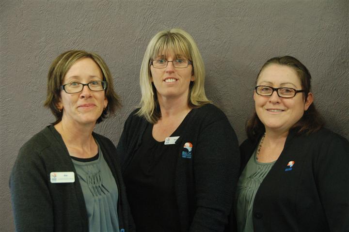 Customer requests that Buloke Shire Council processed through their system last year.