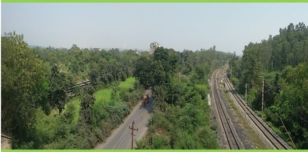 of land spread over External Overburden Dumps, reclaimed land, green belt in the mining areas, avenues and townships was covered.