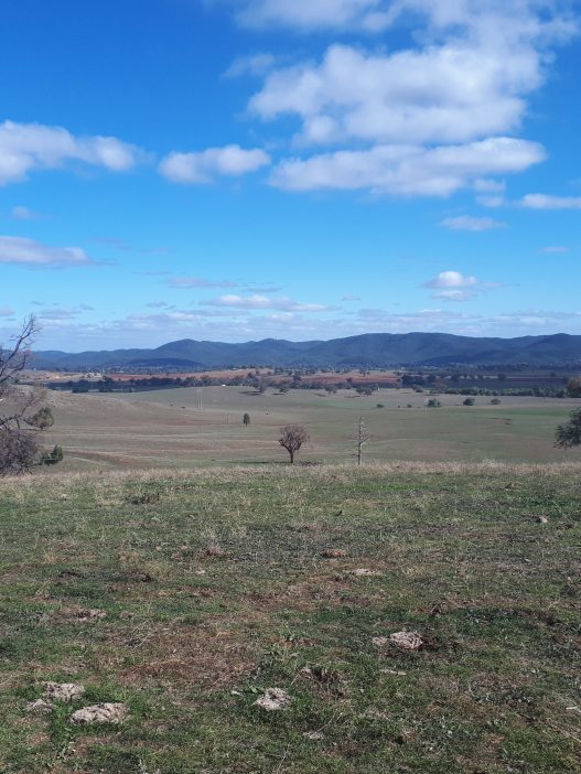of grazed agricultural land used, which has predominantly been used for sheep and cattle grazing. The project would connect to an existing substation south of the site which was identified by the company as an excellent solar resource.