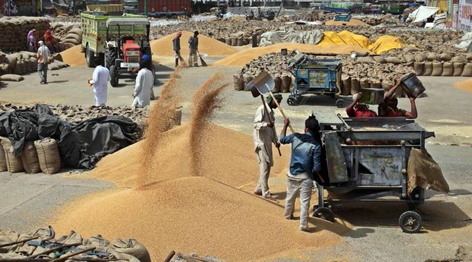 Estimated number of labourers in Punjab mandis, nearly 90%, who unload, clean the grain, fill the grain into gunny bags that are stitched and loaded on to trucks, are from Bihar, Uttar Pradesh & West Bengal.