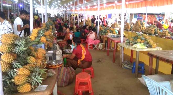 Start of the state level Pineapple Festival cum Sellers and Buyers Meet and Youth Festival, 2019.  The event is organised by the Development Organisation Andro Kendra (DOAK) under the joint aegis of Eastern Border Area Development Authority (EBADA) and the North Eastern Council (NEC).