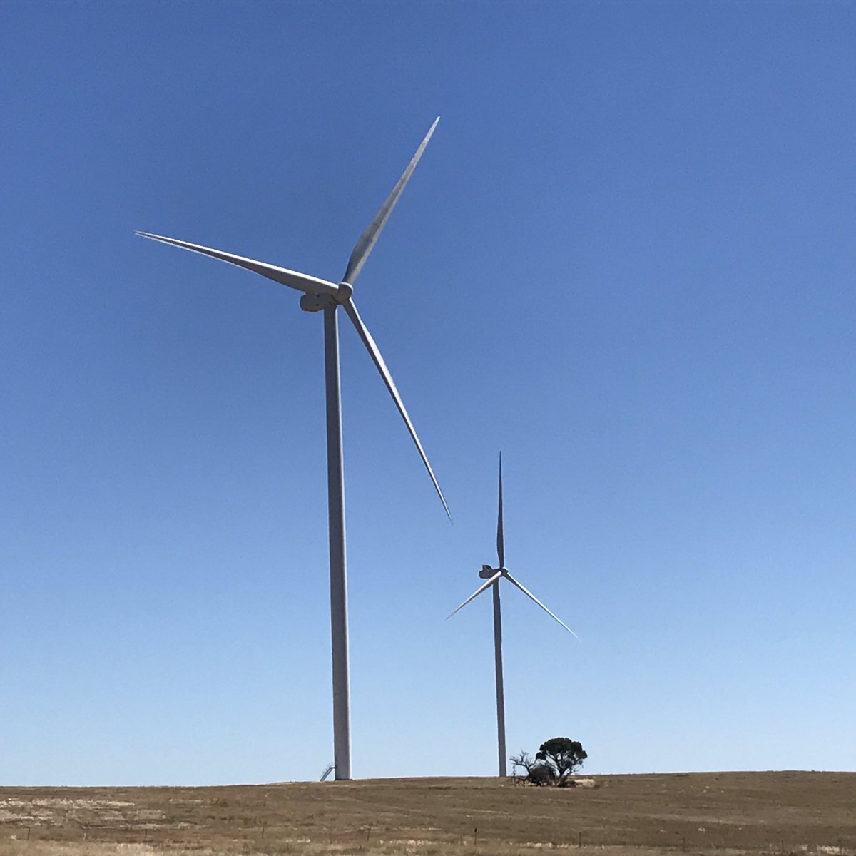 Windlab chief executive Roger Price informed the Wimmera Mail-Times that two of the nine turbines are now complete with a third and fourth on the way.