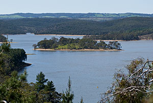 Storage levels and rainfall data for reservoirs in South Australia