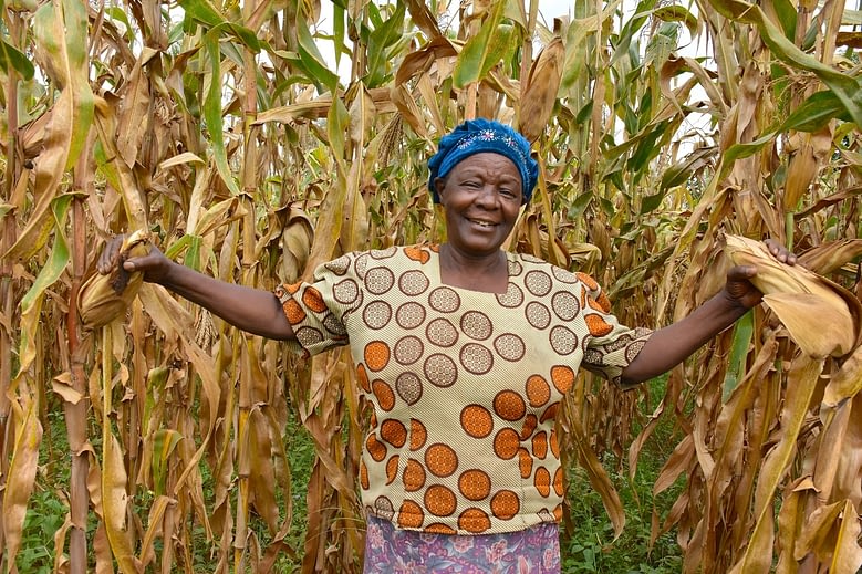 Climate-smart maize production in sub-Saharan Africa