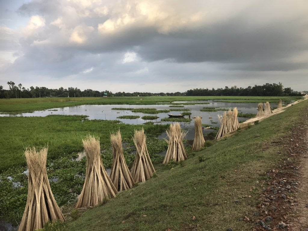 Major Jute producing countries in the world - production and area under cultivation [2019]