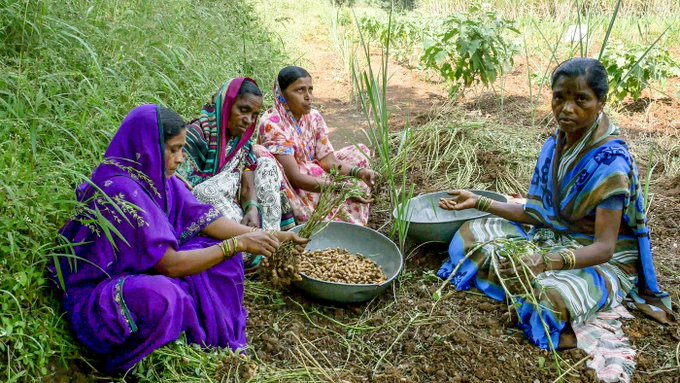 India: Production of foodgrains and commercial crops [2018-19]
