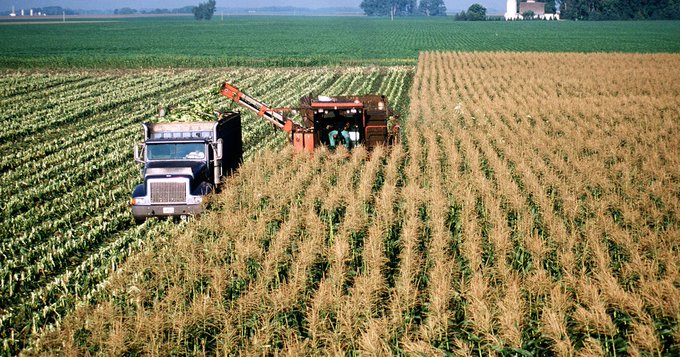 USDA Pandemic Assistance for Producers