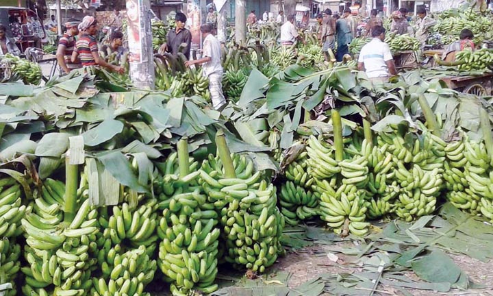 Major banana producing divisions in Bangladesh - production and area under cultivation [2018-19]
