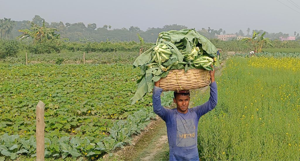 Top 10 Cauliflower producing states in India [2021-22]